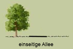 einseitige Allee