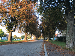 Kastanienallee Mengkofen