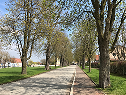 Kastanienallee Mengkofen