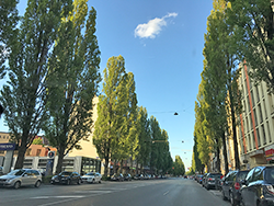 München. Lindwurmstraße