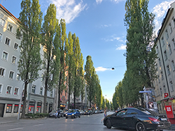 München, Lindwurmstraße