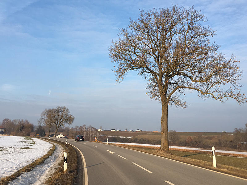 Straße von Mengkofen nach Ottending, 2017